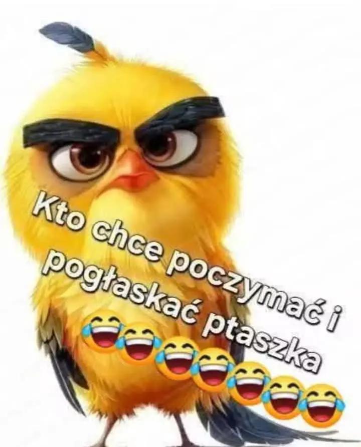 @🦁🇵🇱Wariat.Niemożliwy🇵🇱🦁