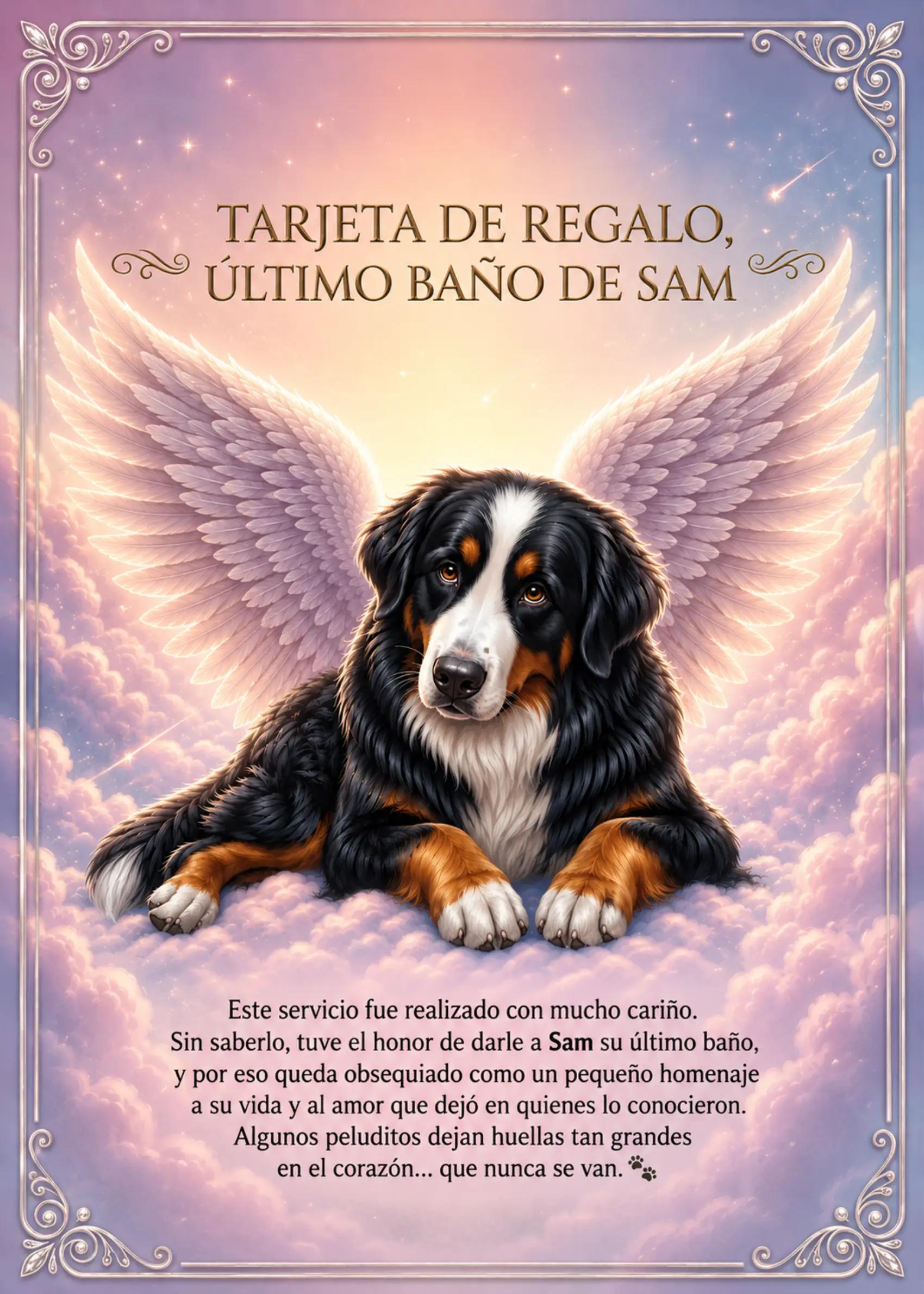 @✨ximenAragon✨