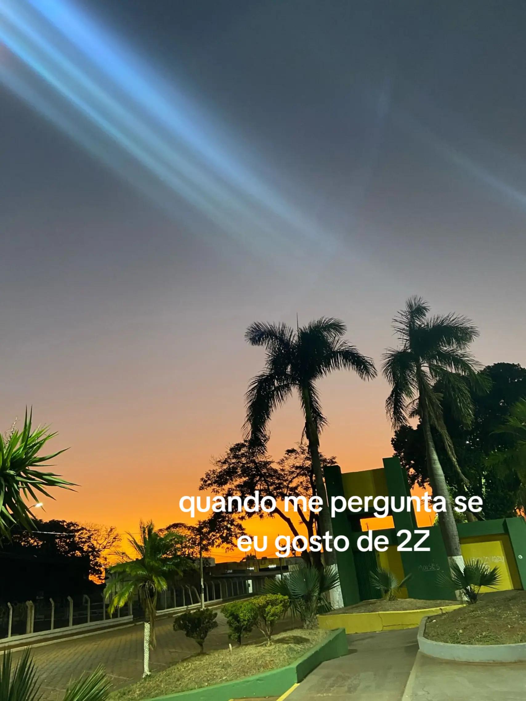 @txv.777