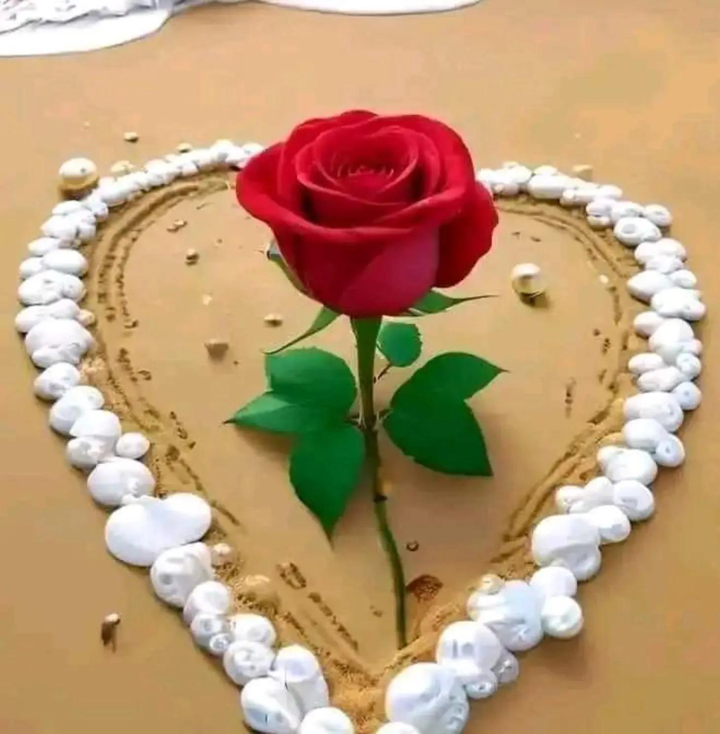 @user25093546307