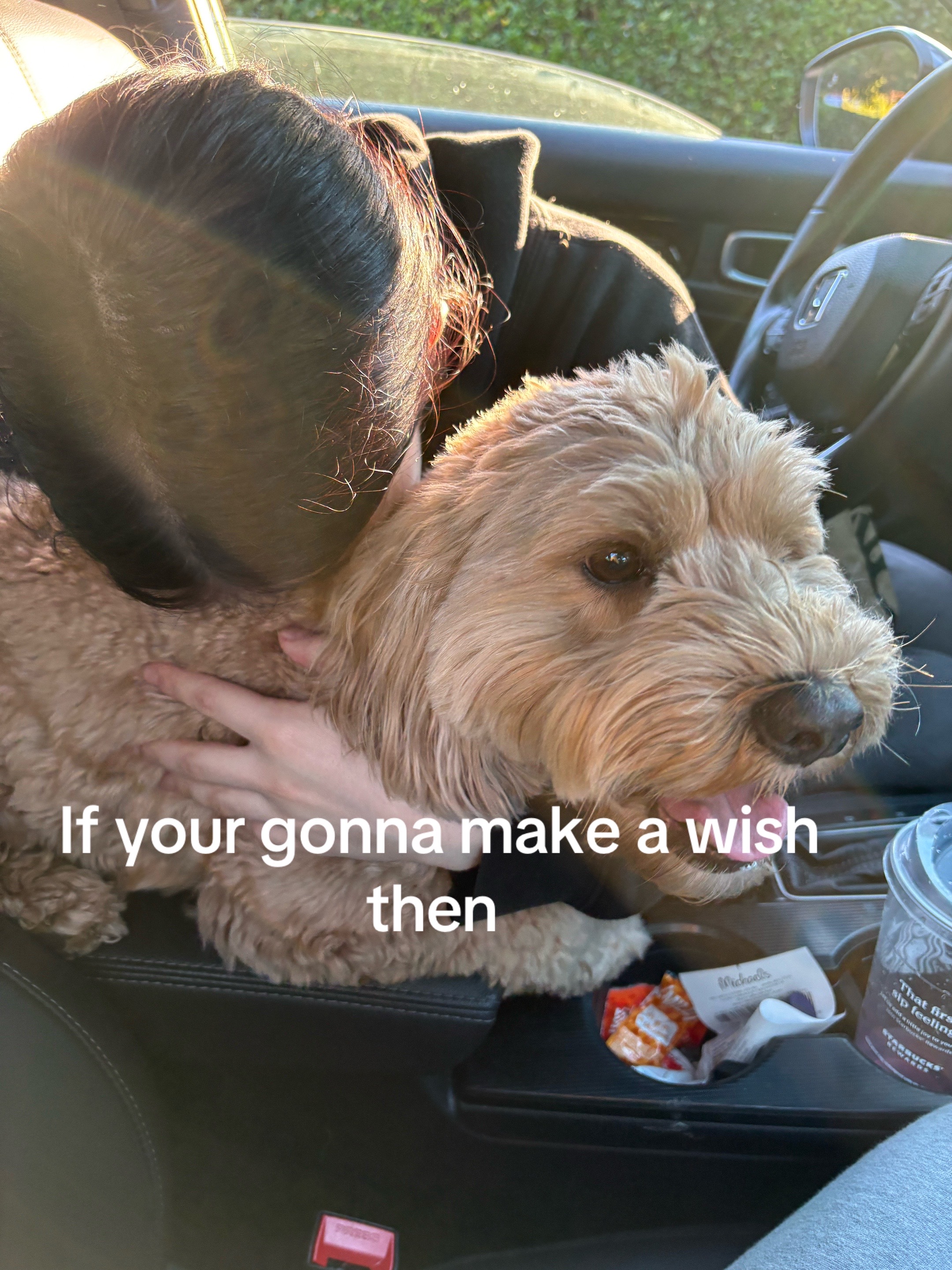 @moneysignsoup