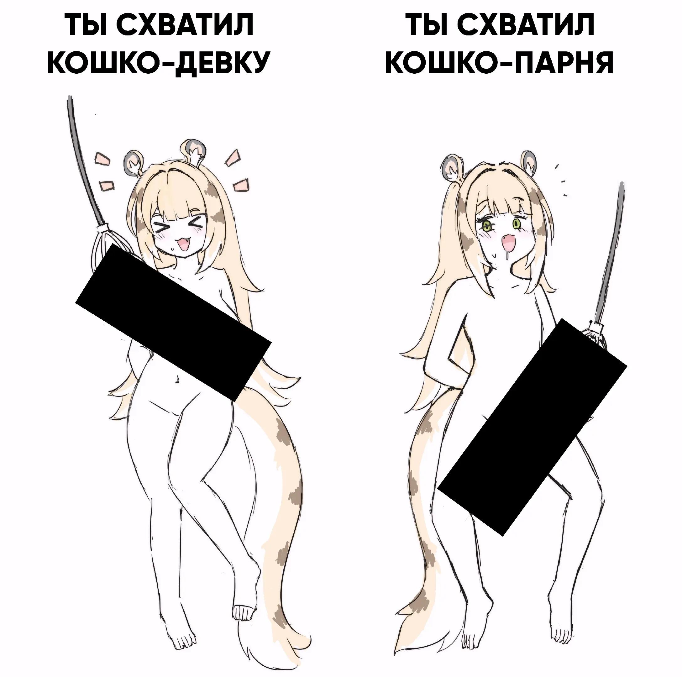 @MaximusNext