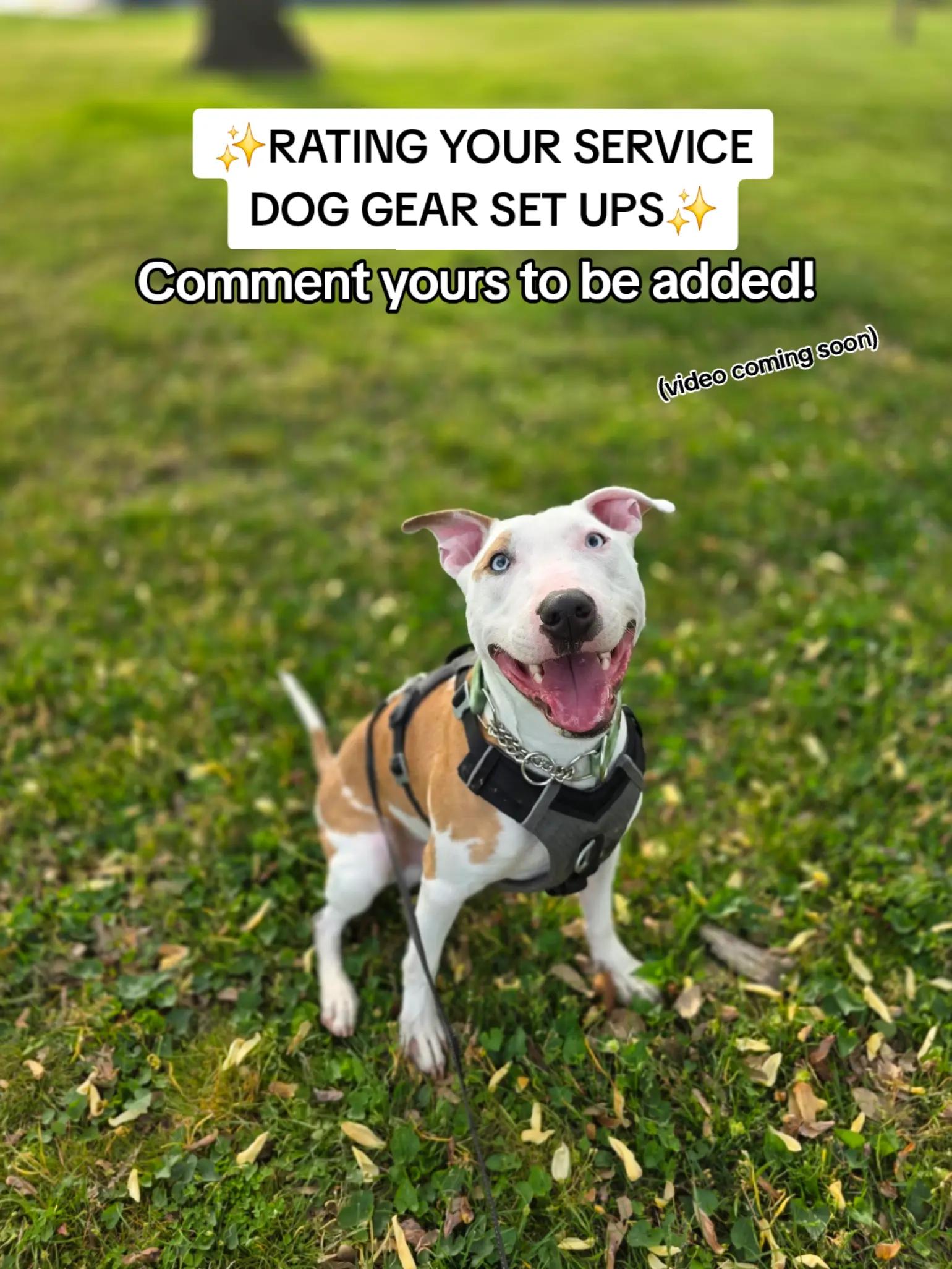 @Canine Wonders Training