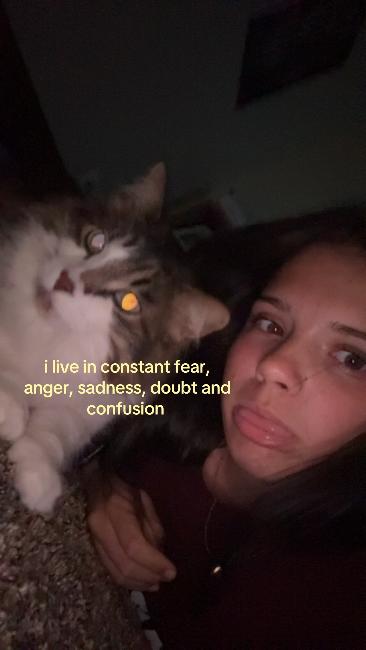 @𝓐🩶