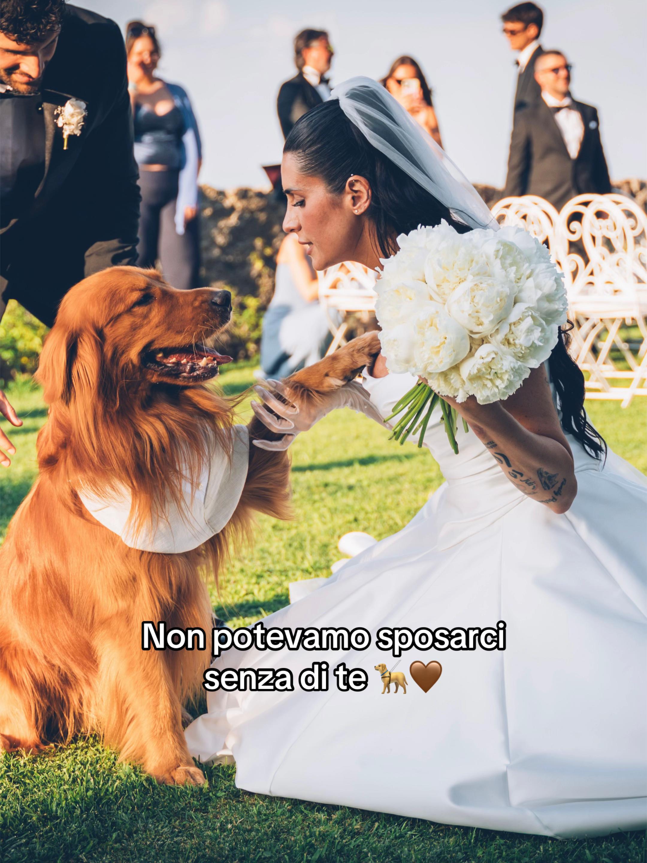 @Valentina Vignali Stefanini