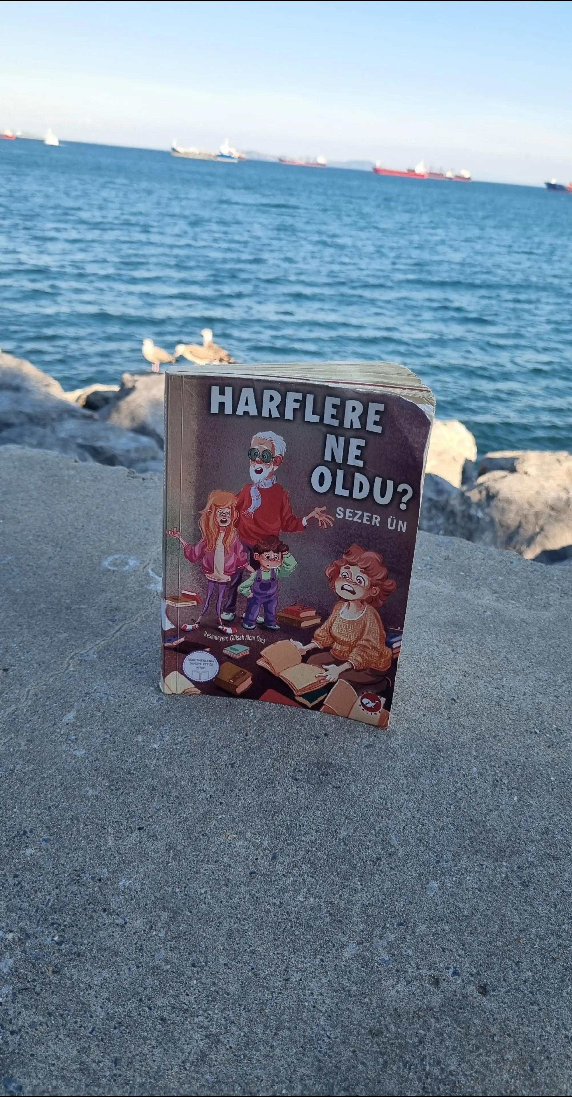 @Anlayarak Hızlı Okuma Becerisi