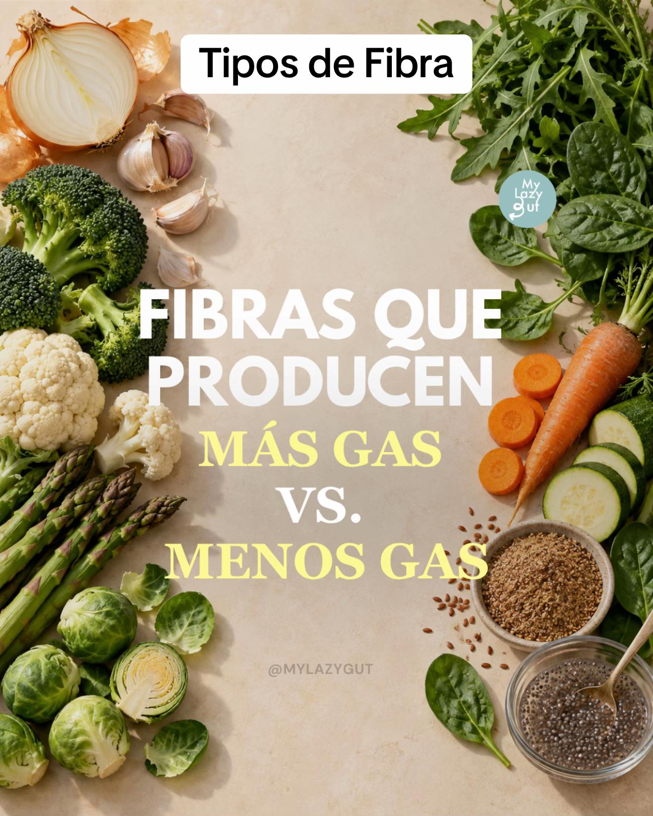 @Mylazygut/Digestión Saludable