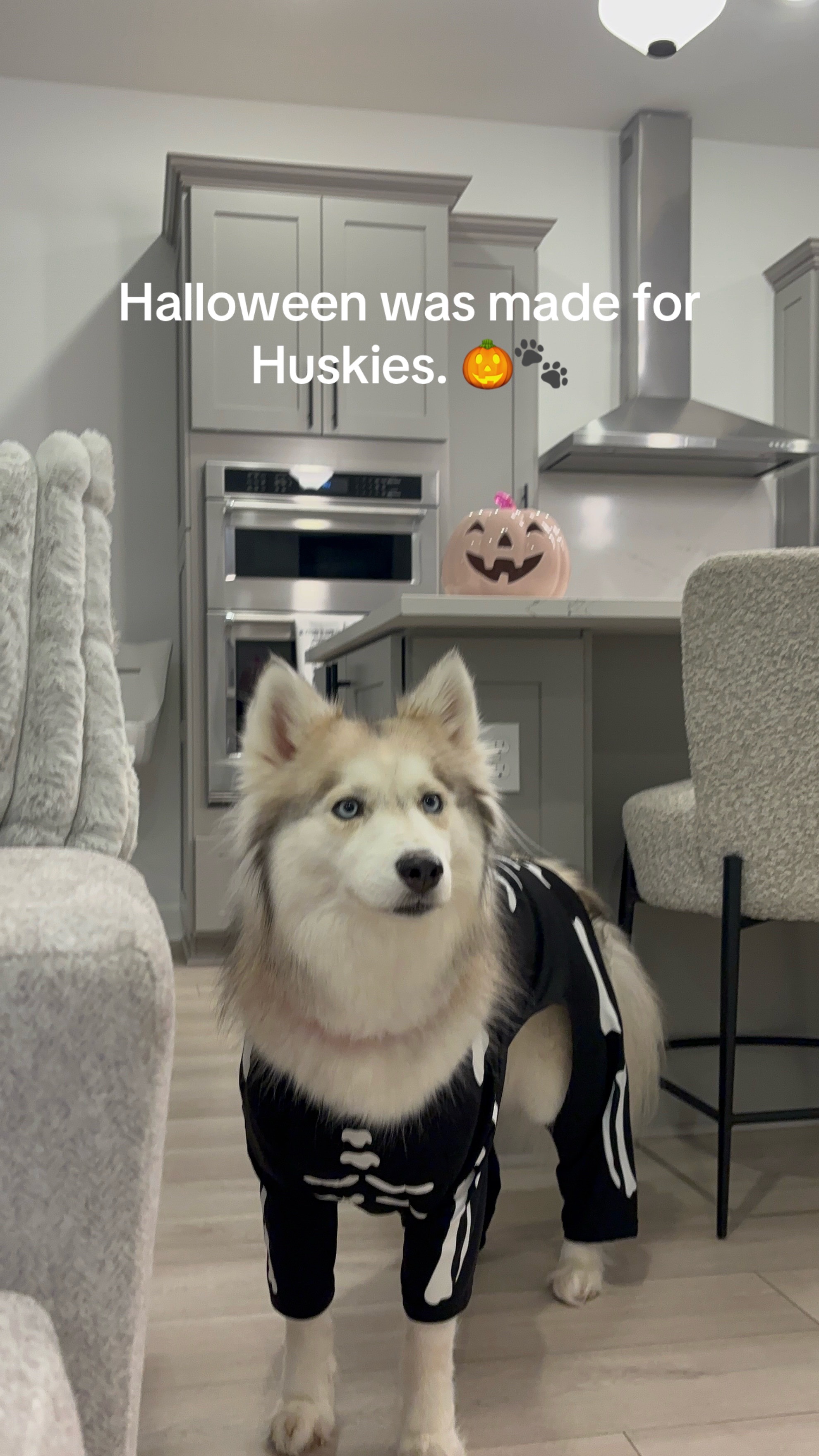 @lifewith2huskies