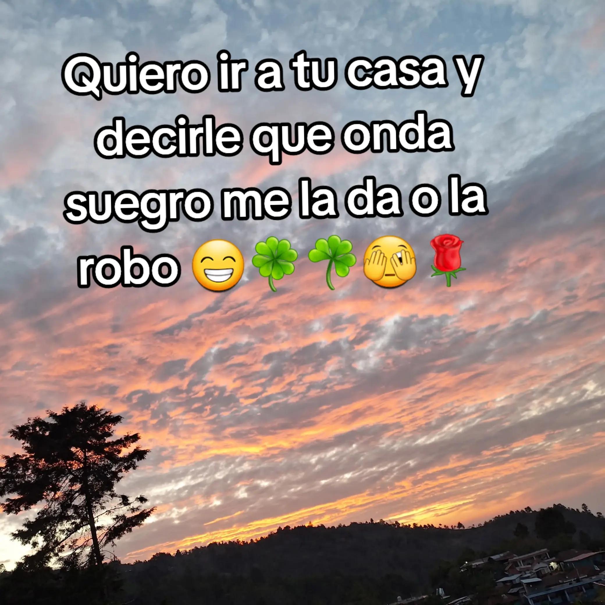 @Gabrielito 502