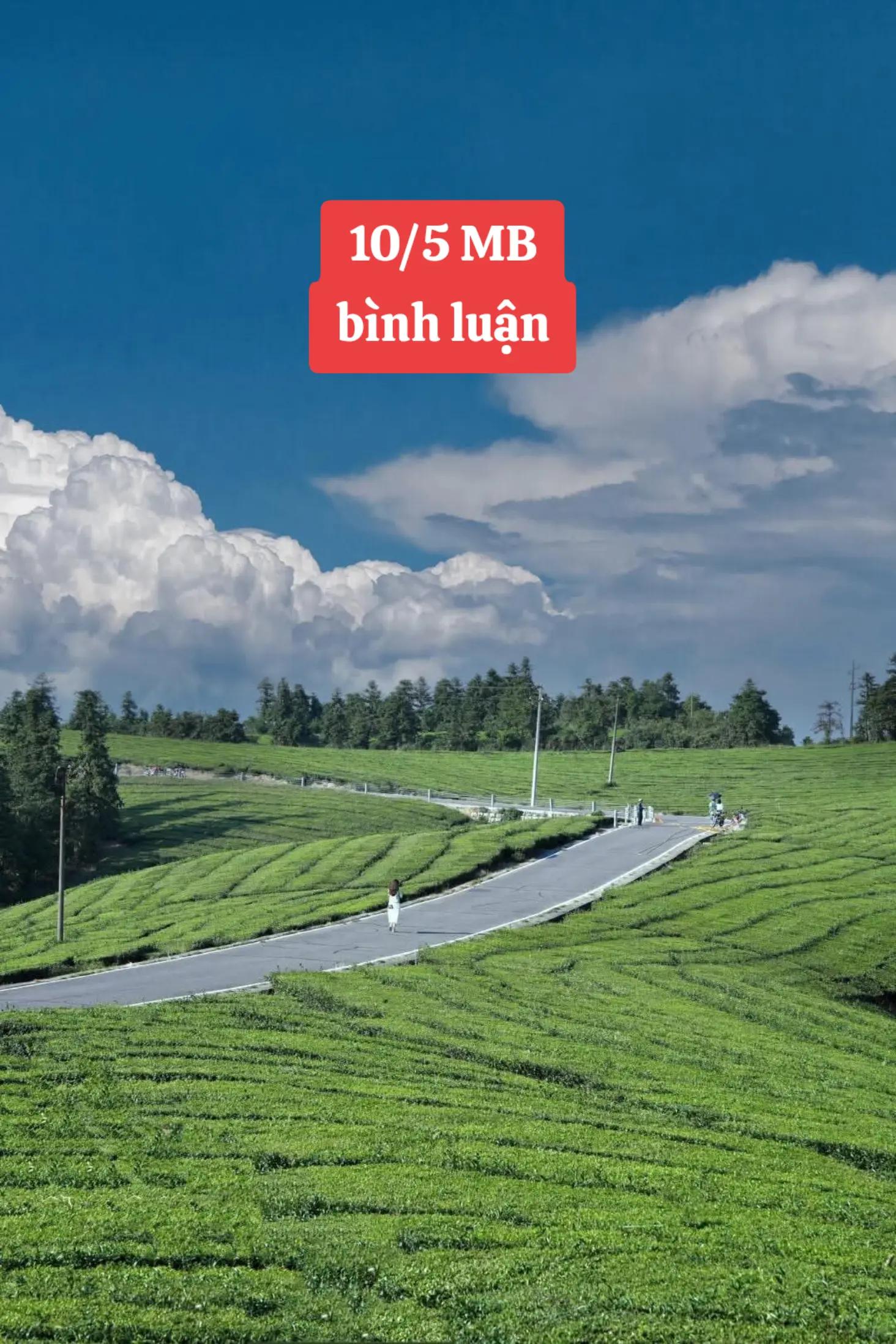 @L&ecirc; Miền Bắc