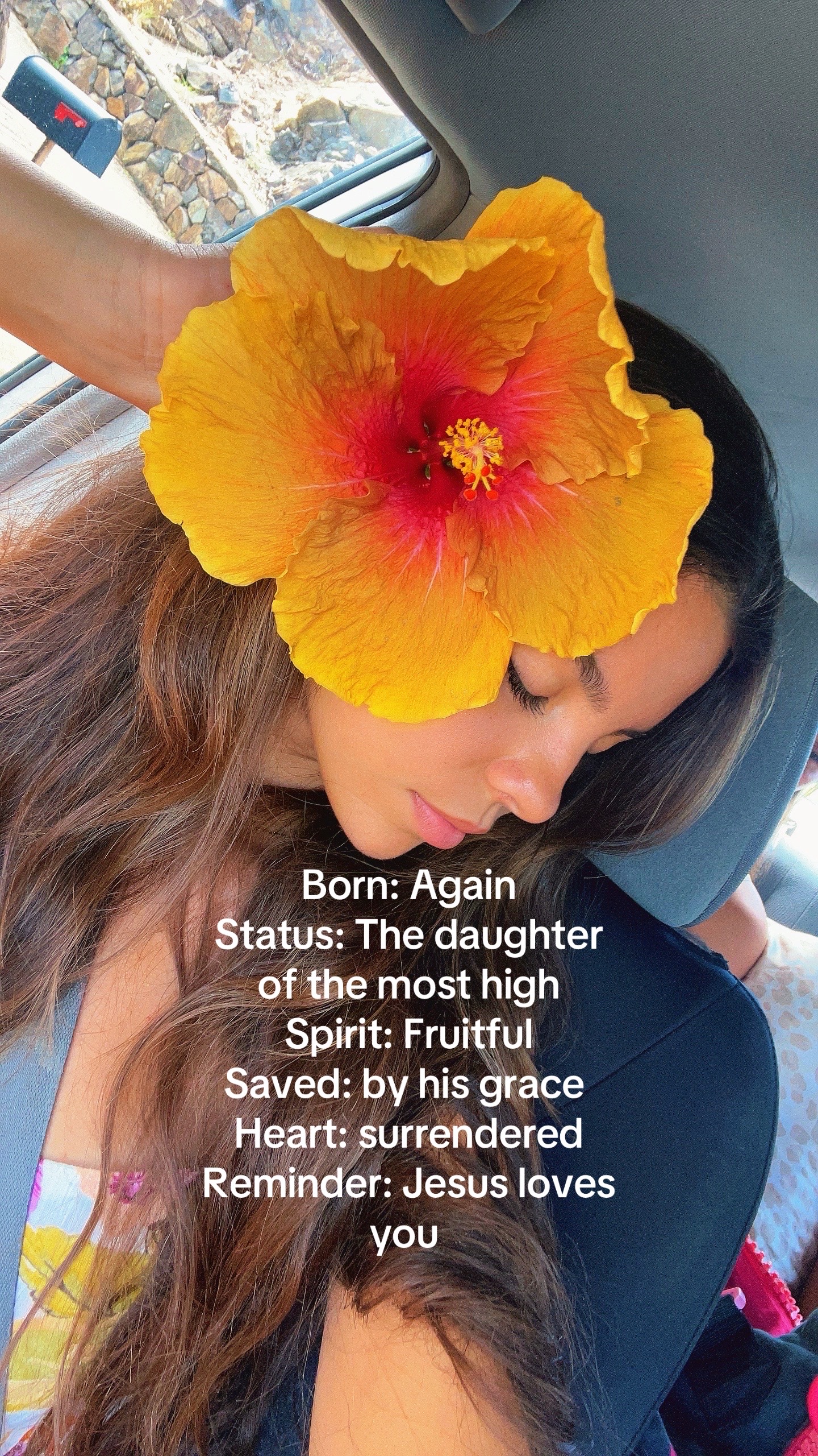 @kimi 🌺🌞🎨