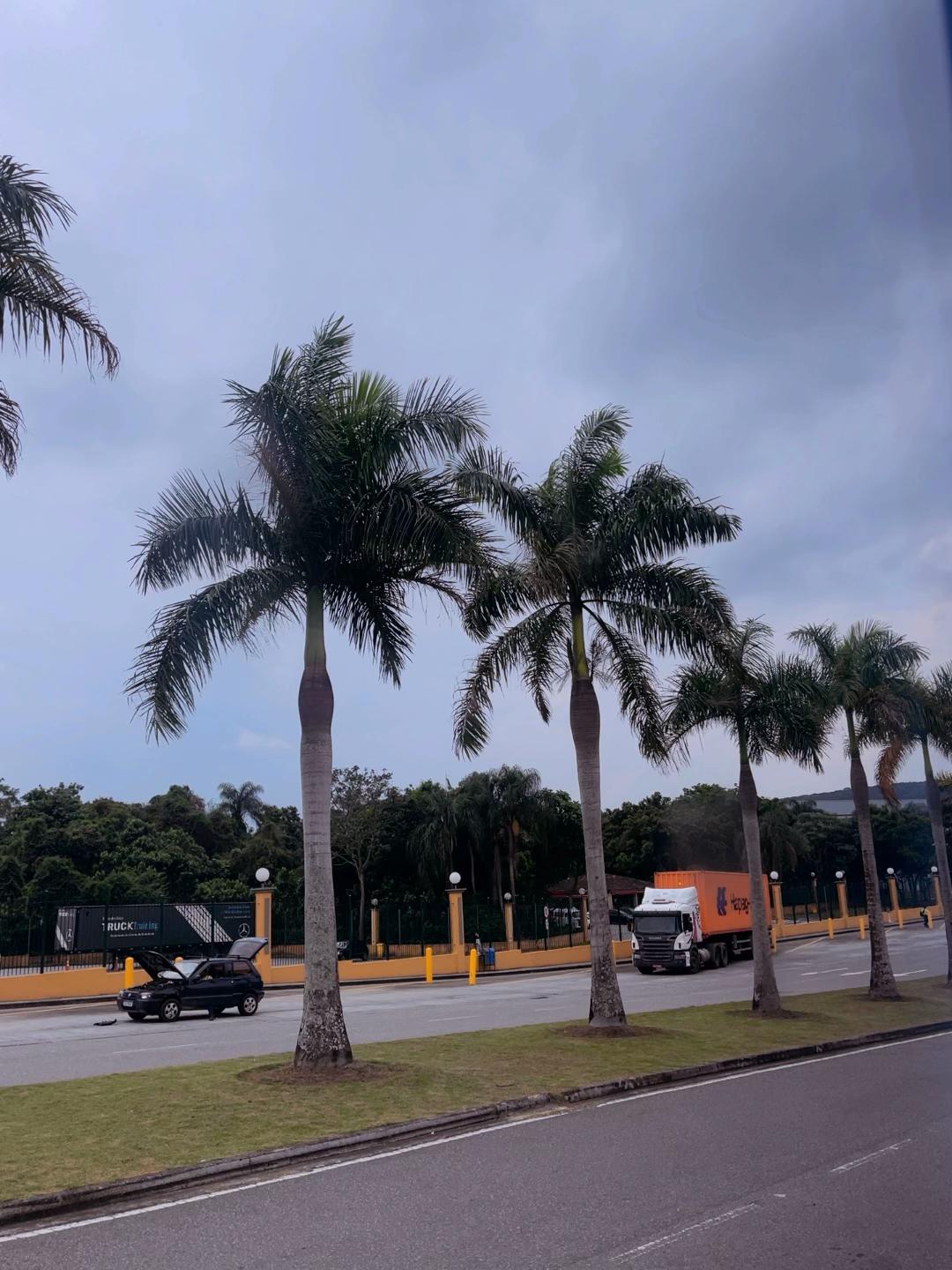 @rossesantos2