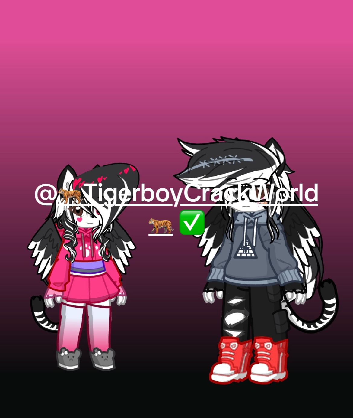 @Wizard KoalaBoy&rsquo;s Crackworld