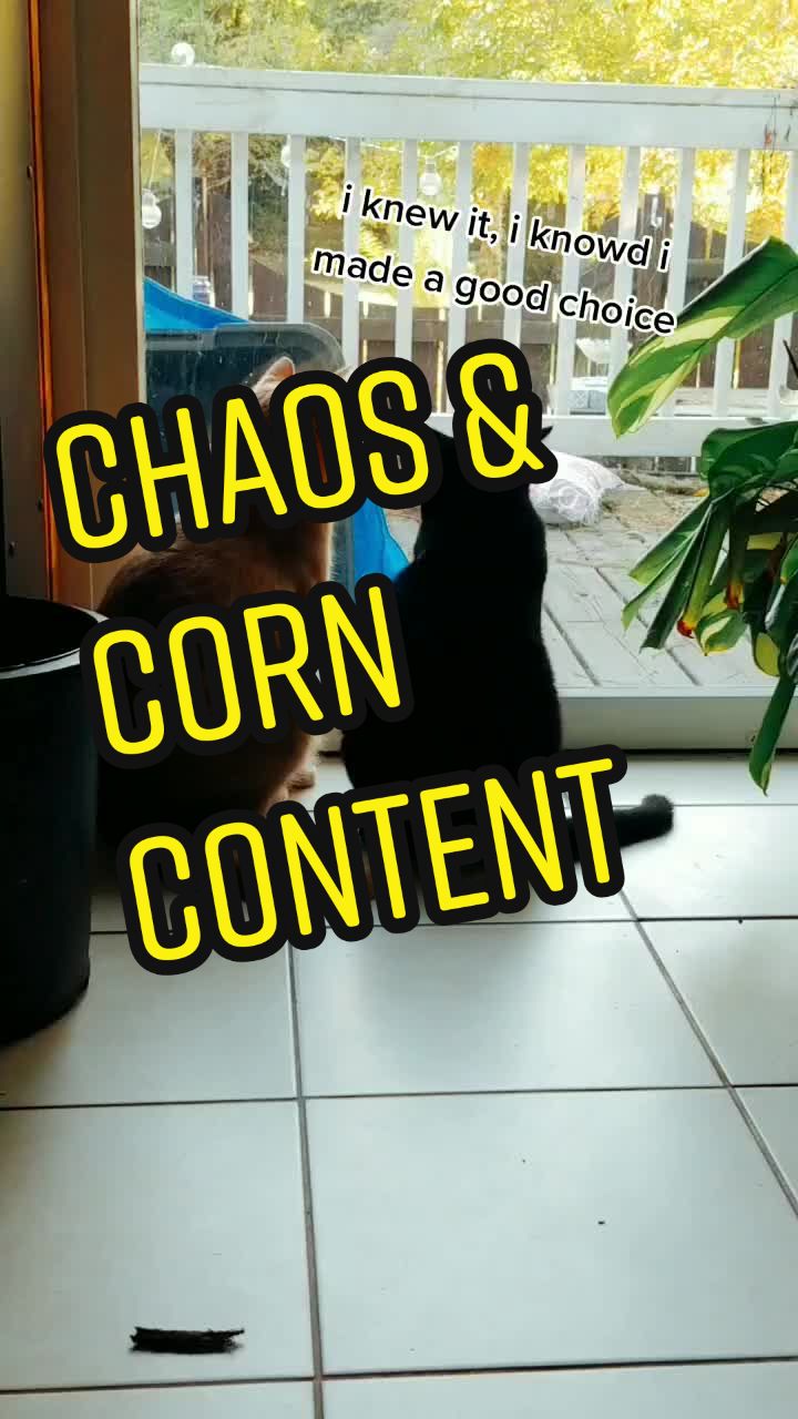@Sara R