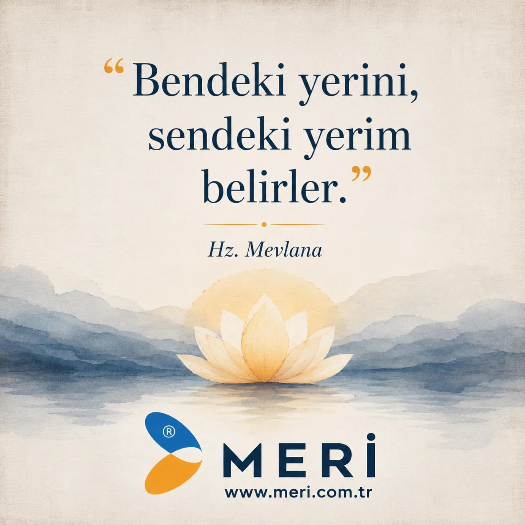 @Meri Sineklik İsmail Kurt