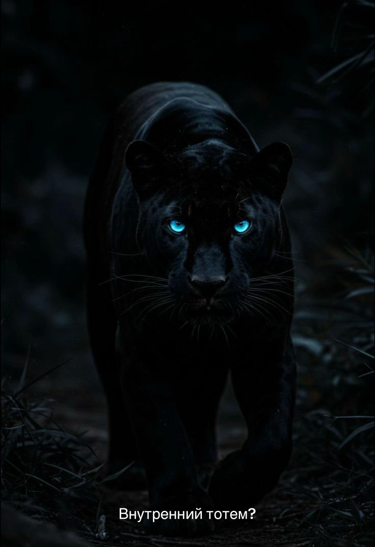 @𝓙_𝔃_𝓴𝓮𝔂