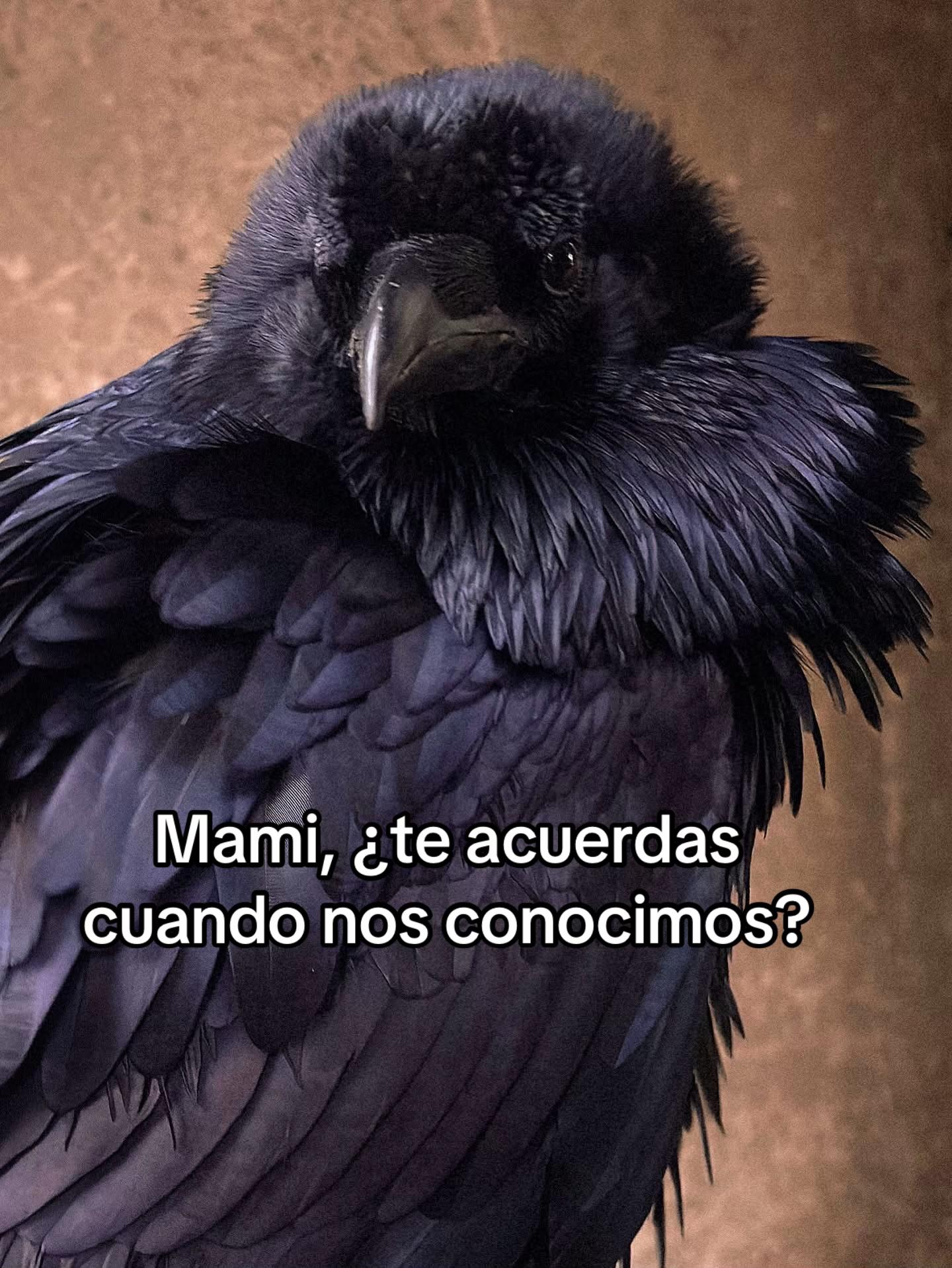 @Montserrat Valenzuela