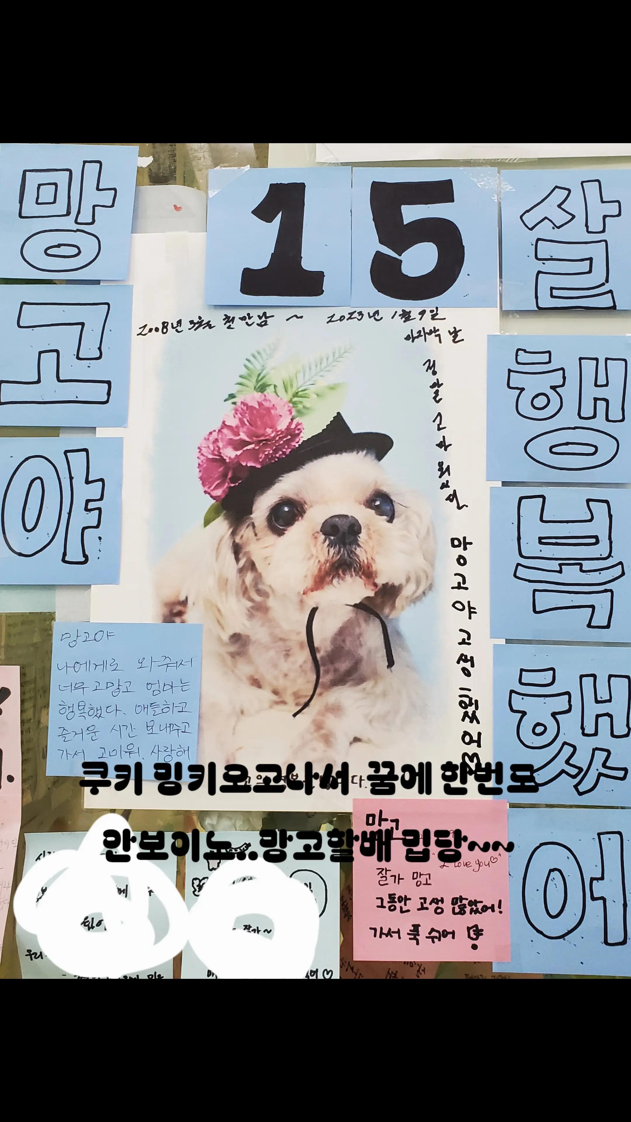 @키키맘