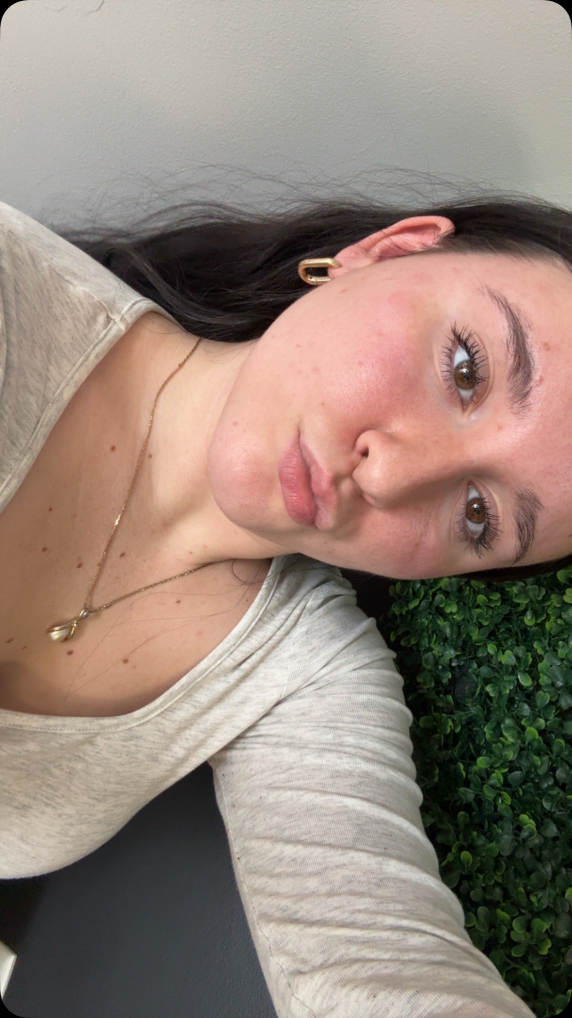 @lexi