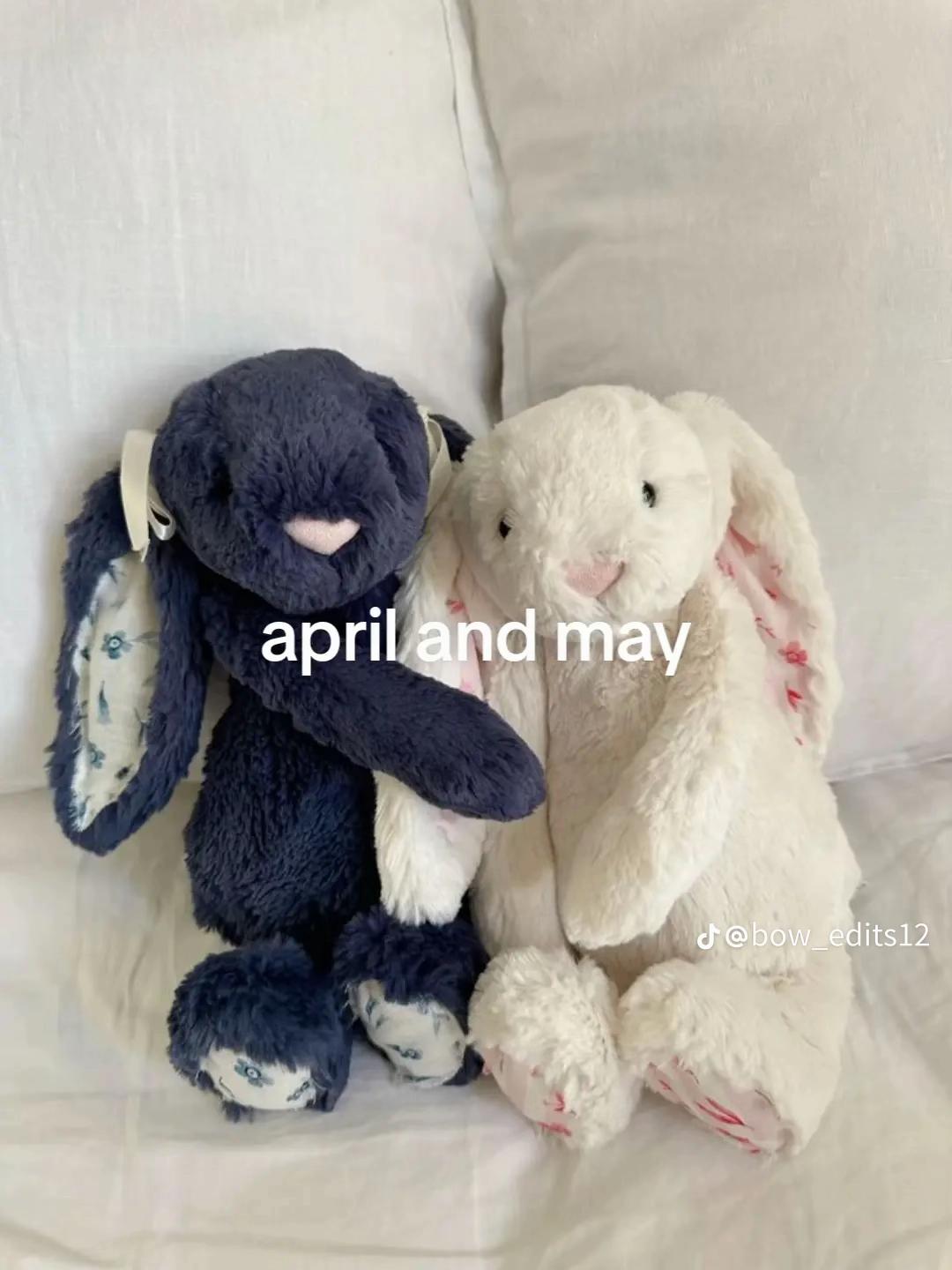 @giorgi