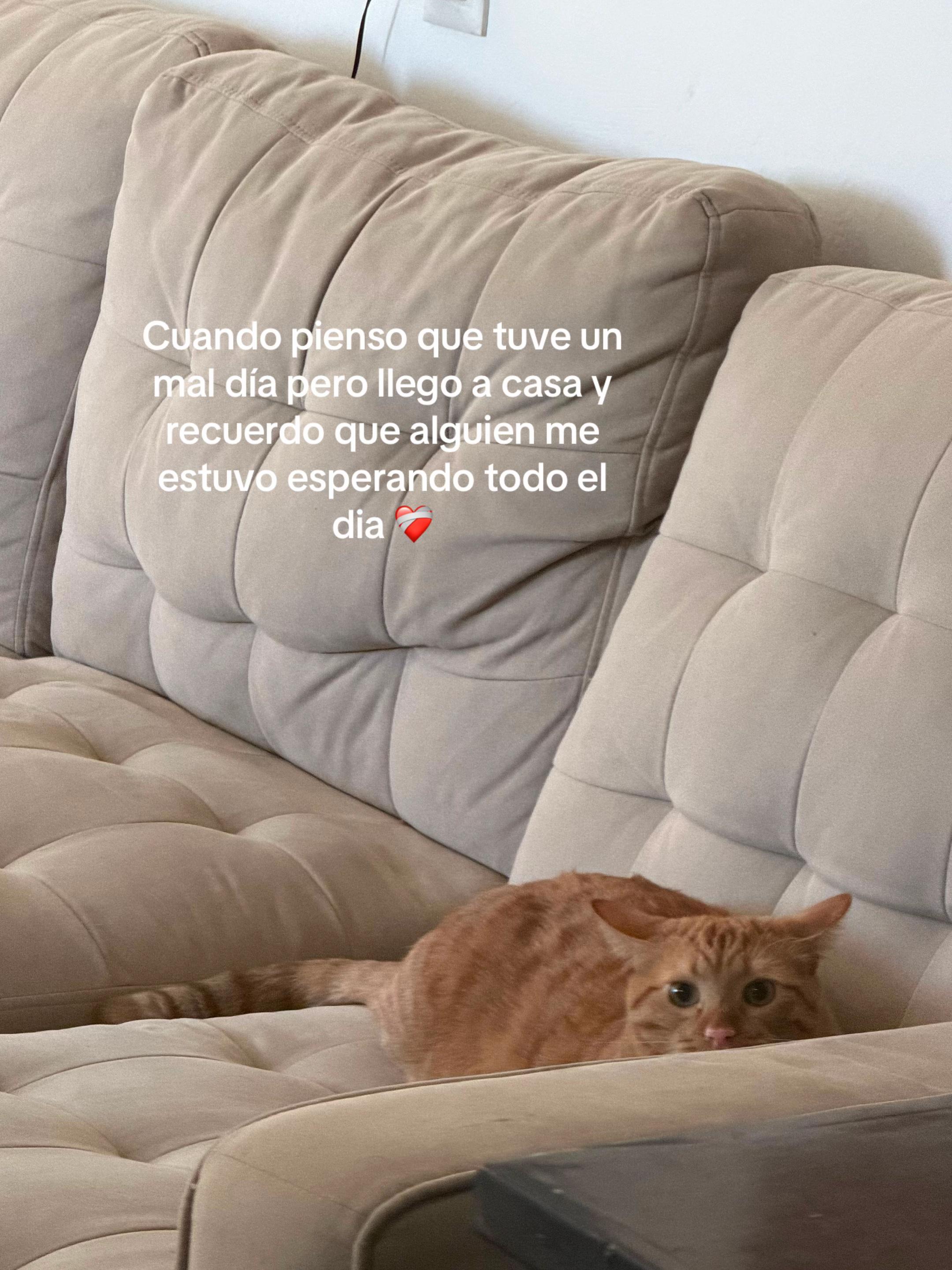 @Alea Mungu&iacute;a