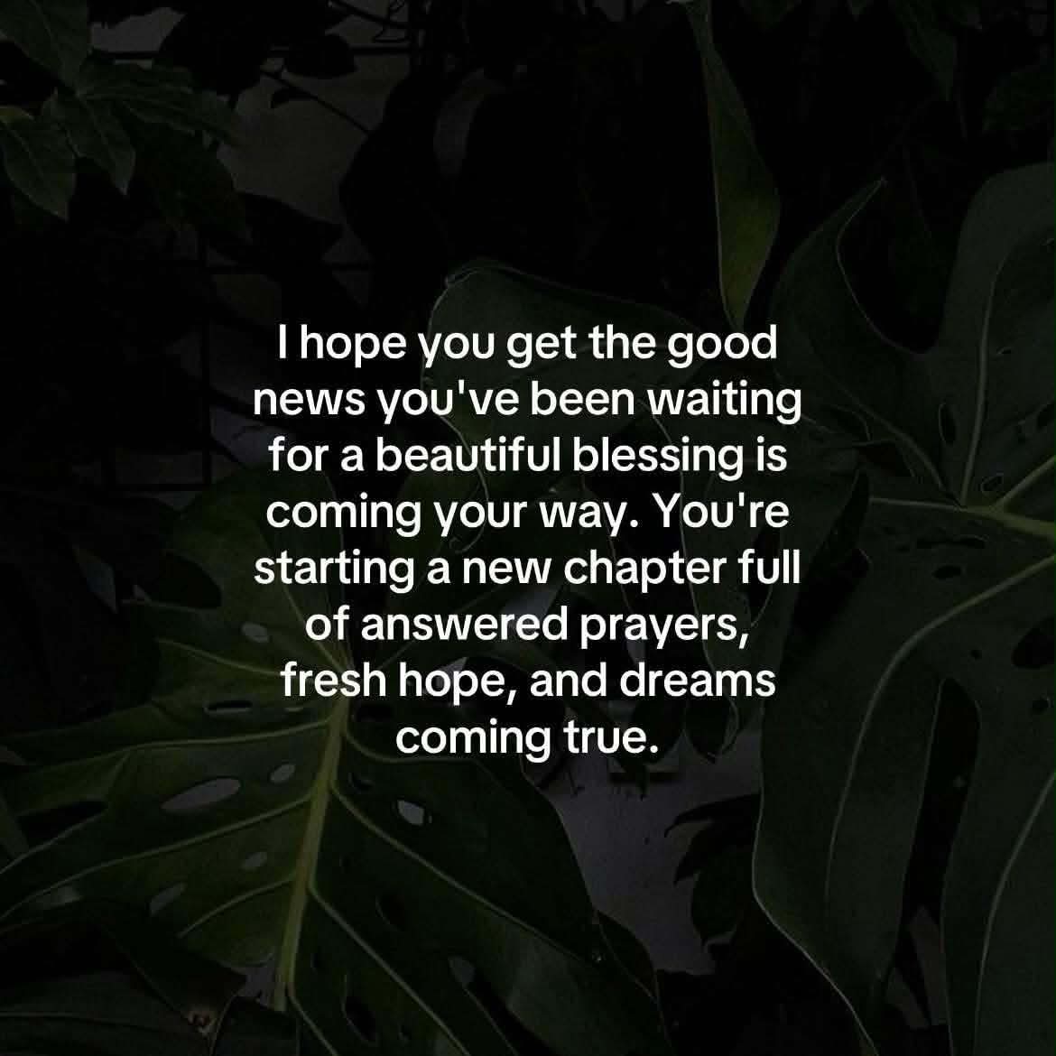 @salma ali