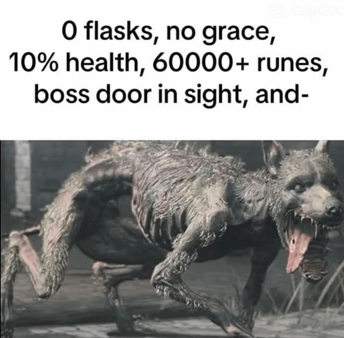 @noobmaster8_