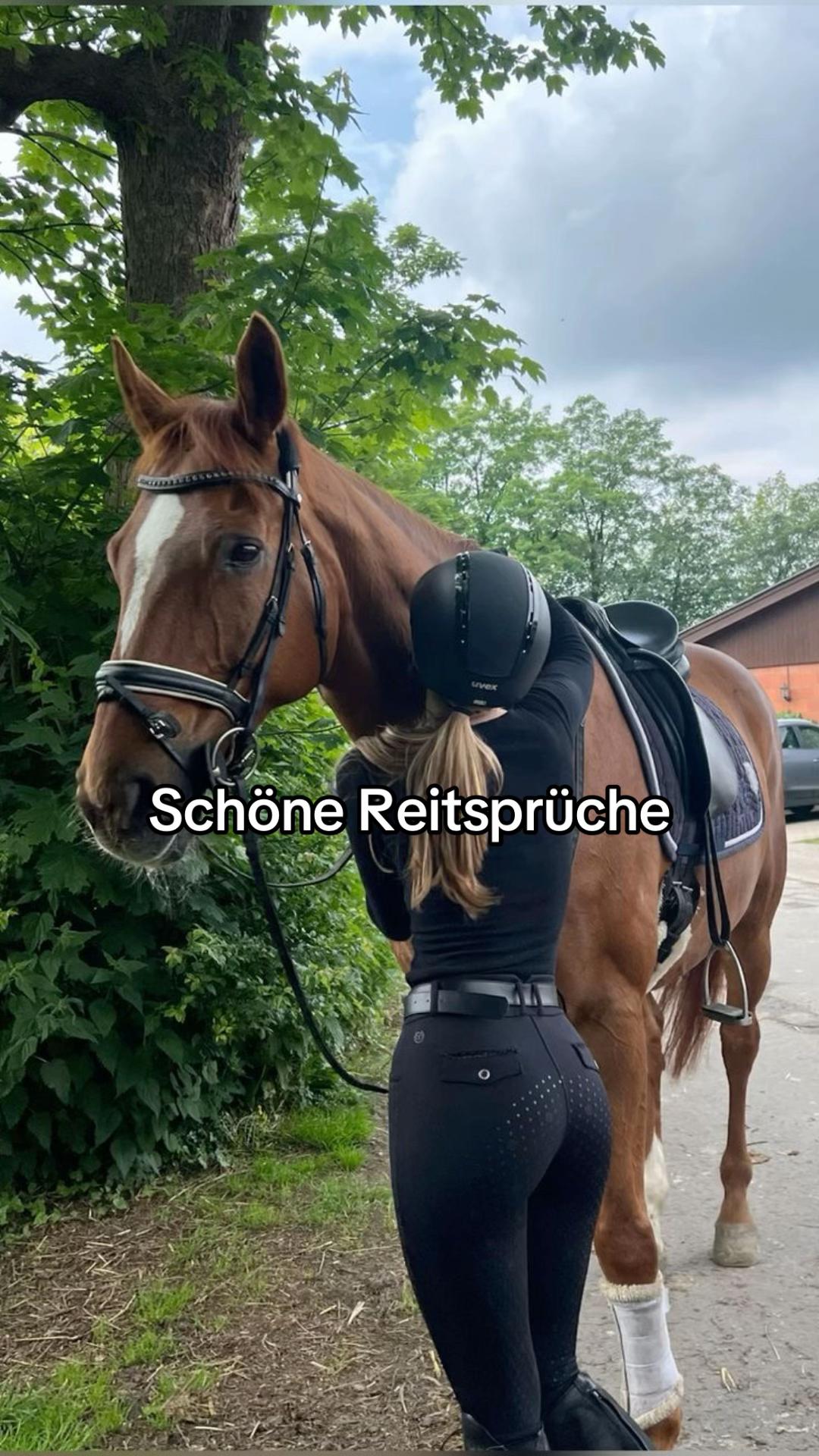 @maragutschee