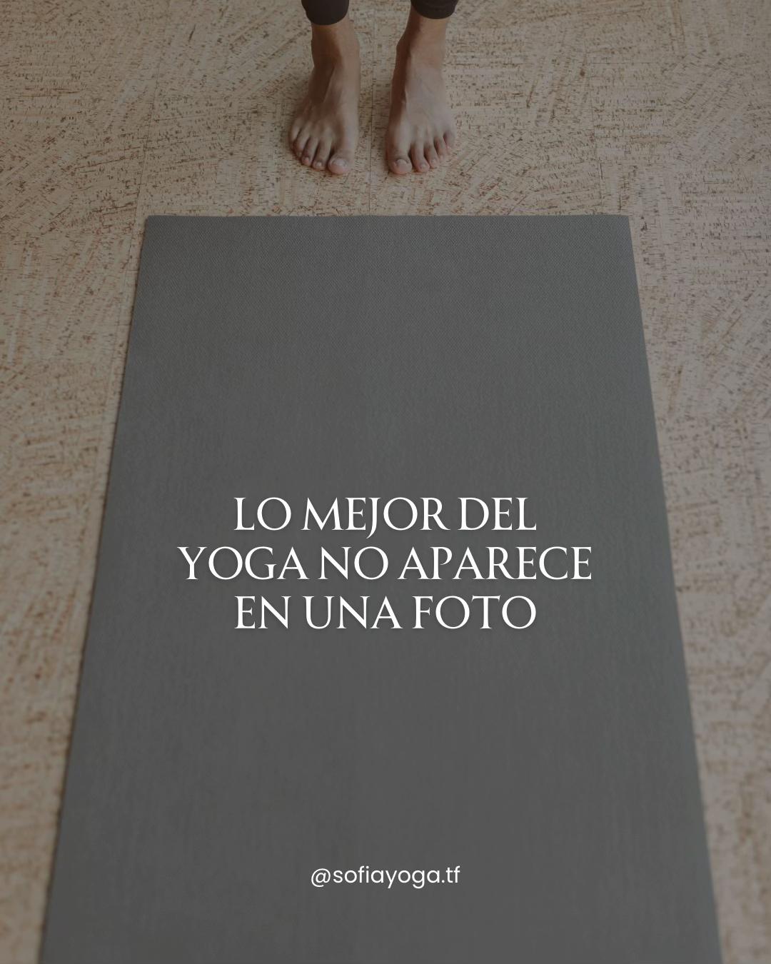@sofiayoga.tf