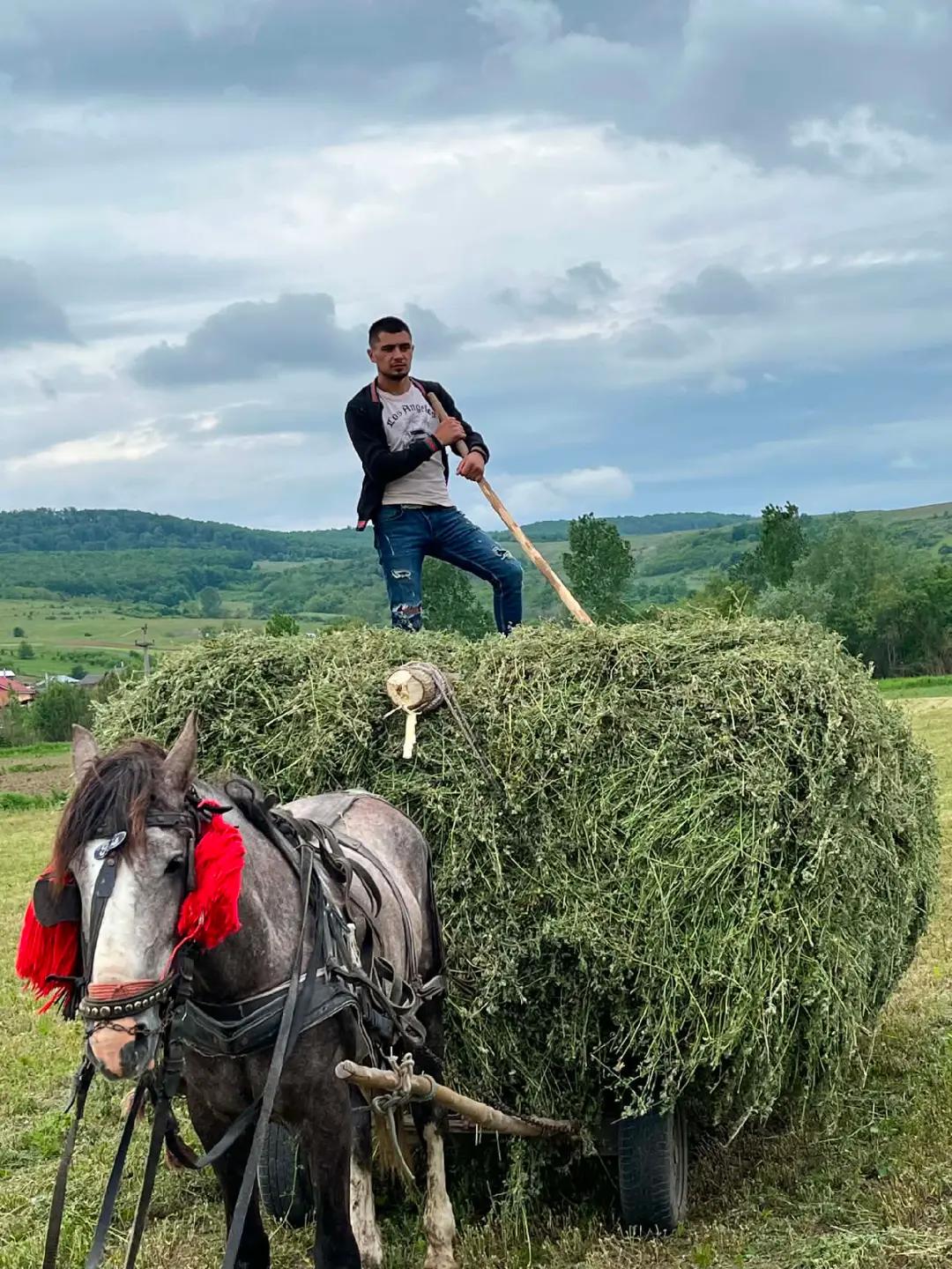 @Sebi Lazăr