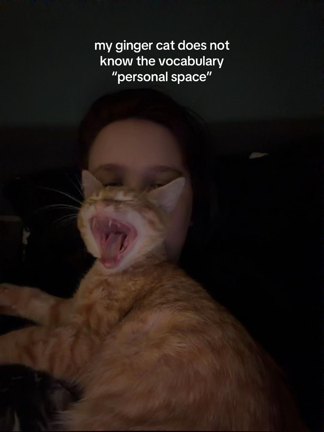 @katie 🖤