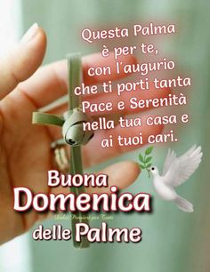@Francesca Cappuccio