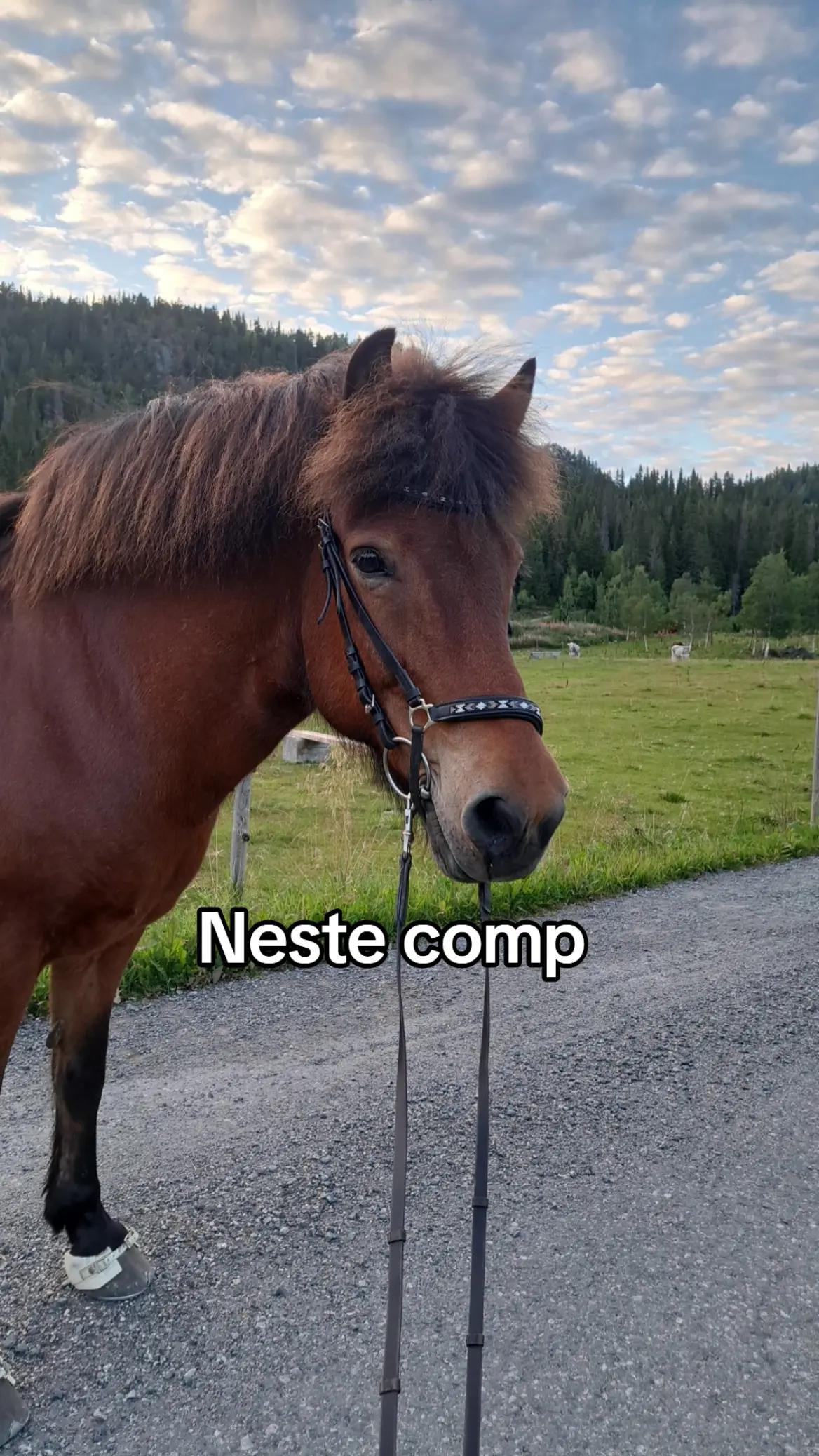 @Madelen Østtveiten Andersen 💗