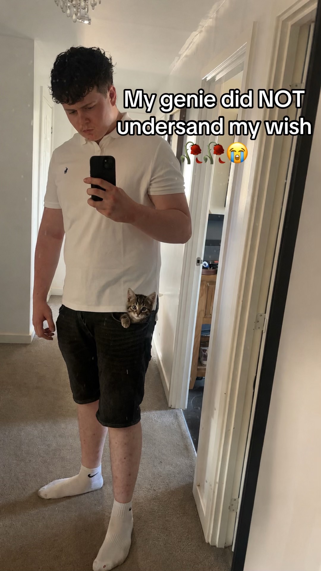 @4l3xd0n4ld