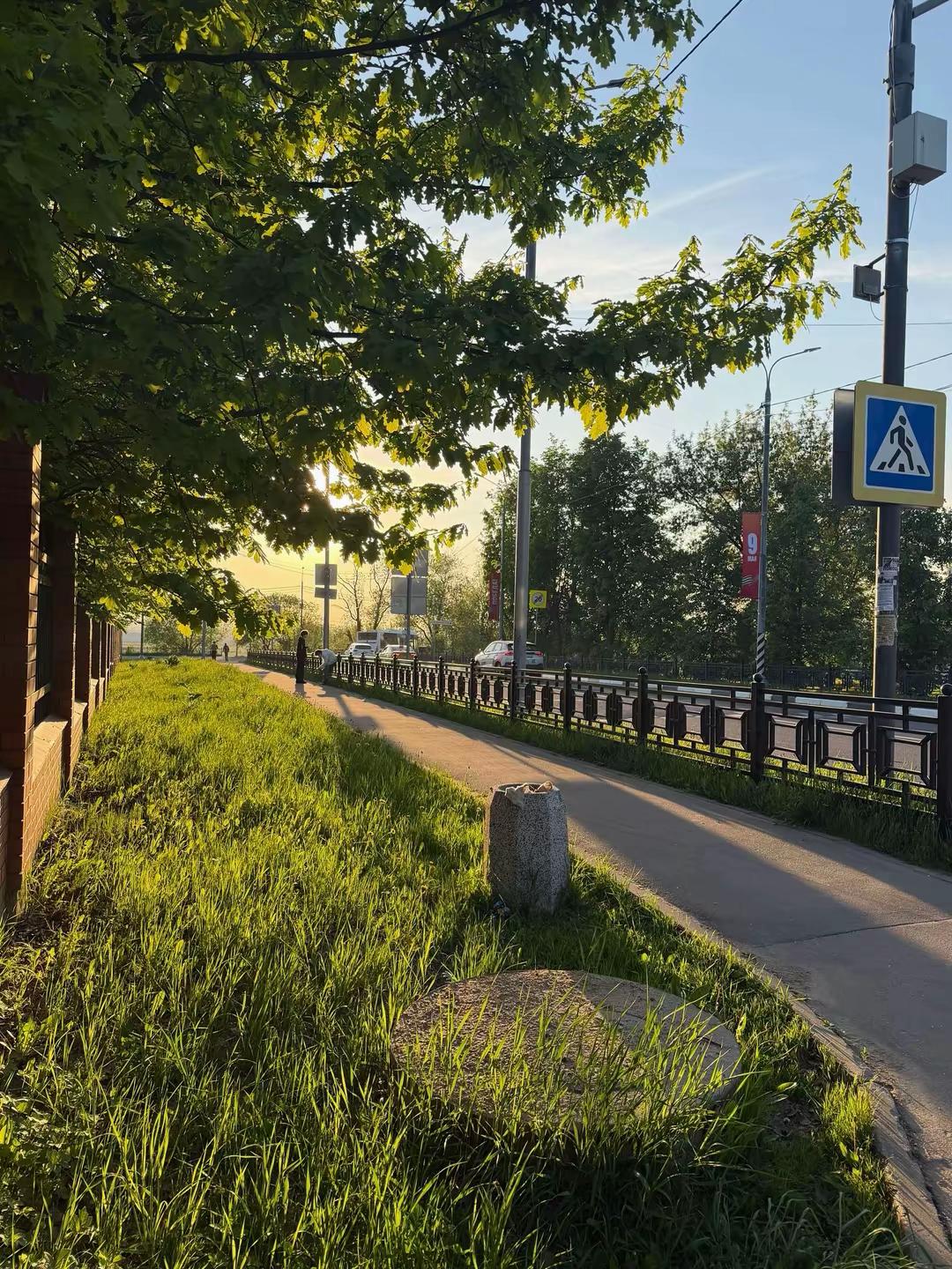 @rubaeva.aa