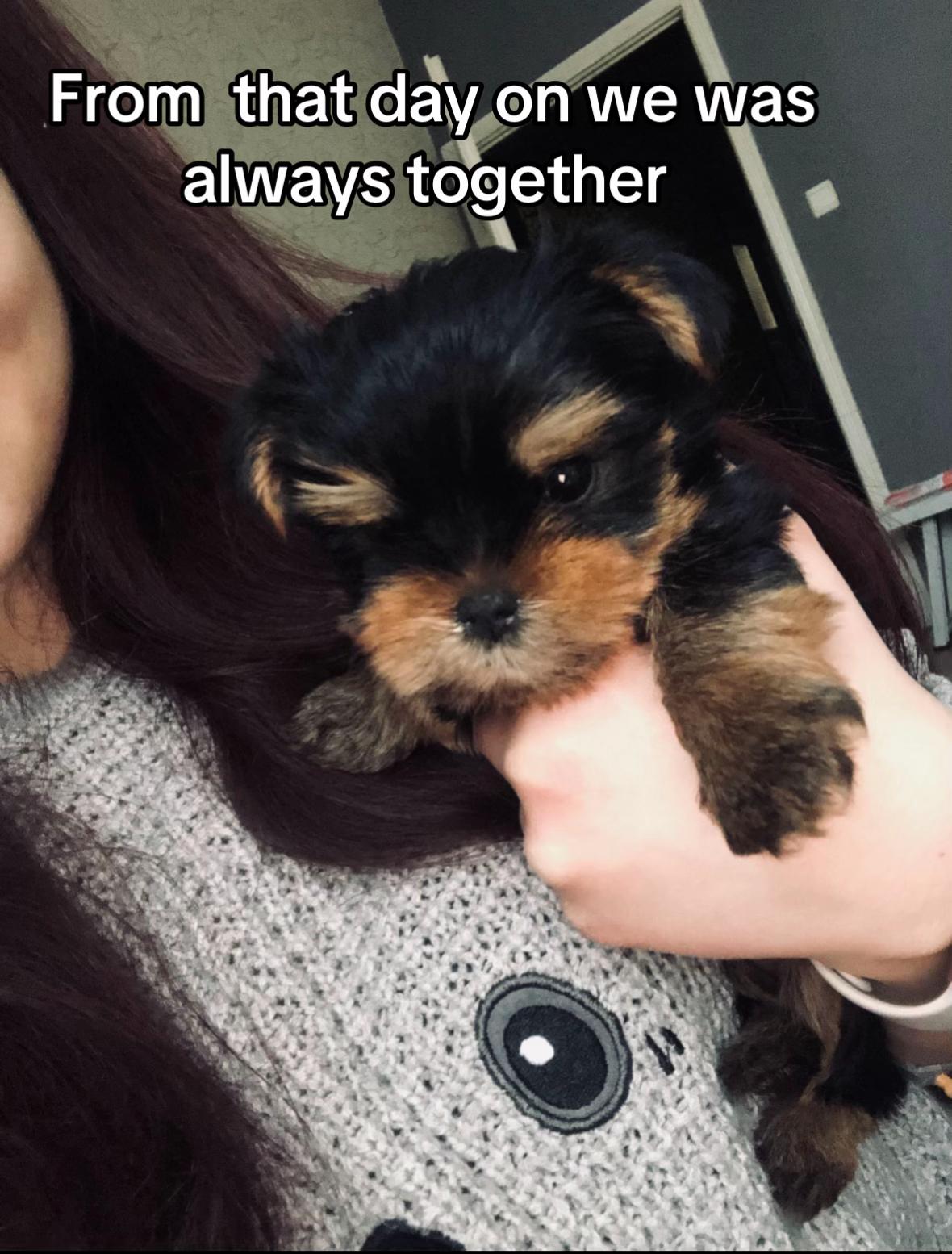 @Yarn bunnies and buddies