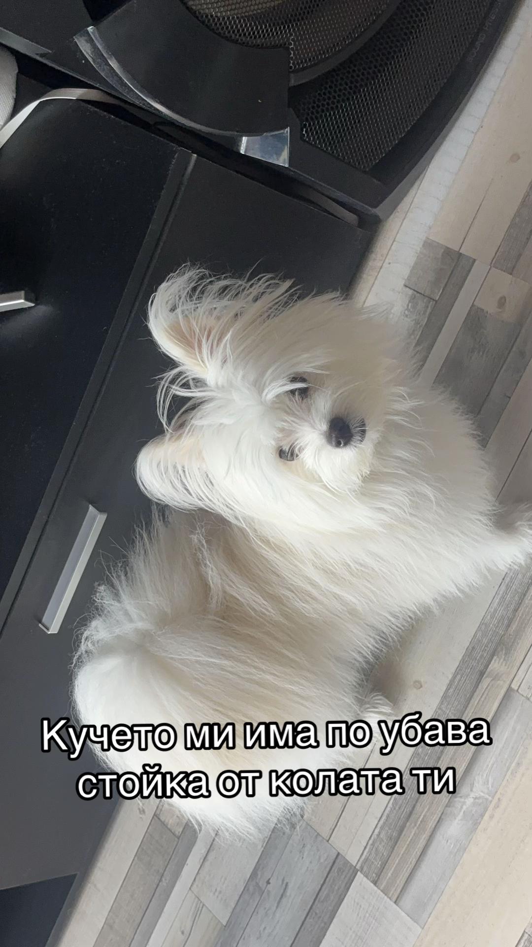 @Кирил Крумов