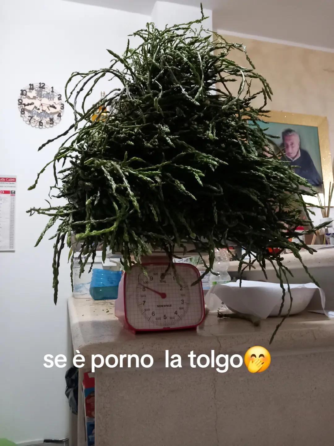 @Gabriele Rossi