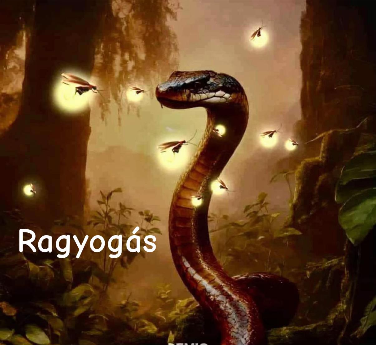 @𝕋.𝔸𝕟𝕕𝕚🌀