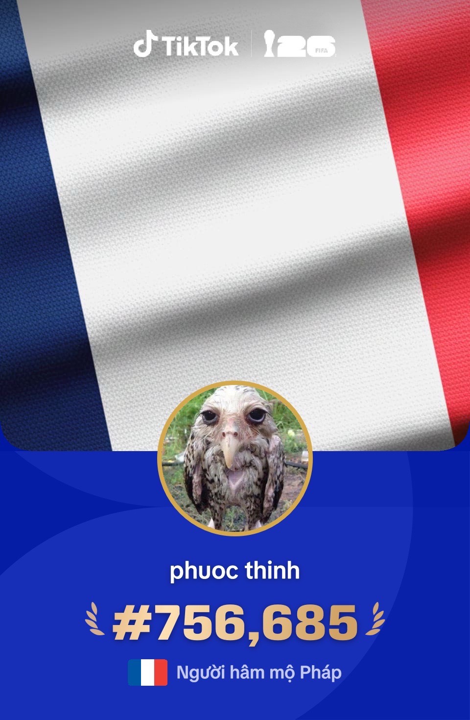 @phuoc thinh