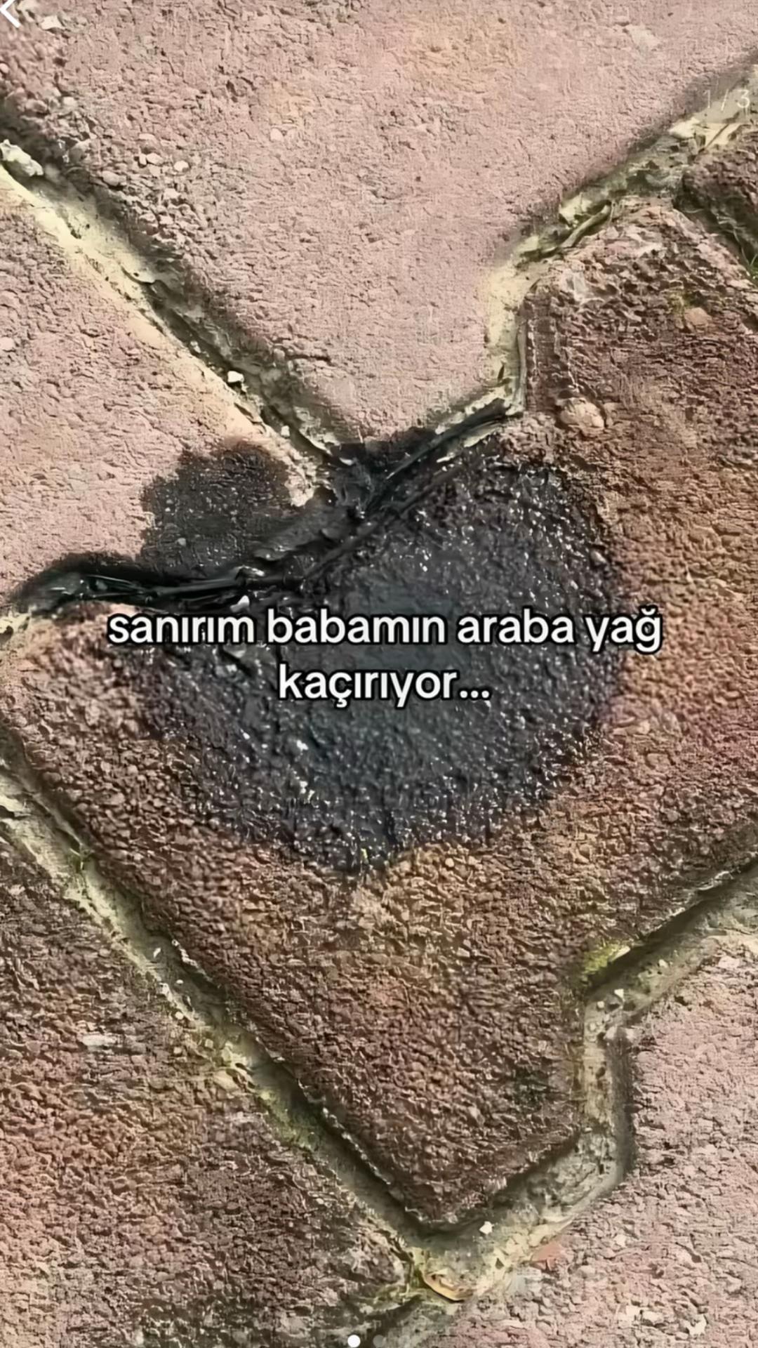 @Emir MARANGOZ