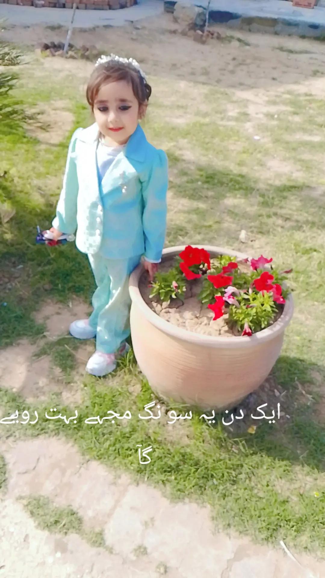 @Mahrukh Fatima