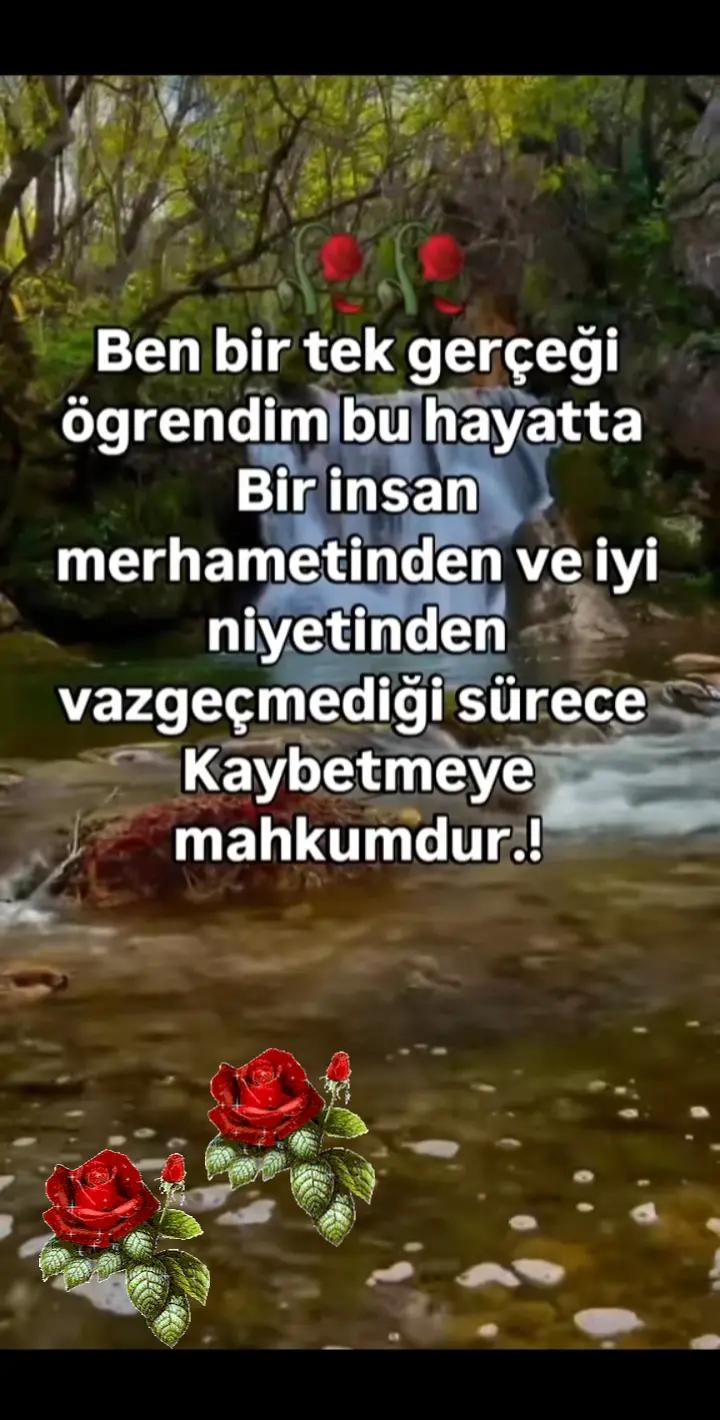 @Serpil G&uuml;neş