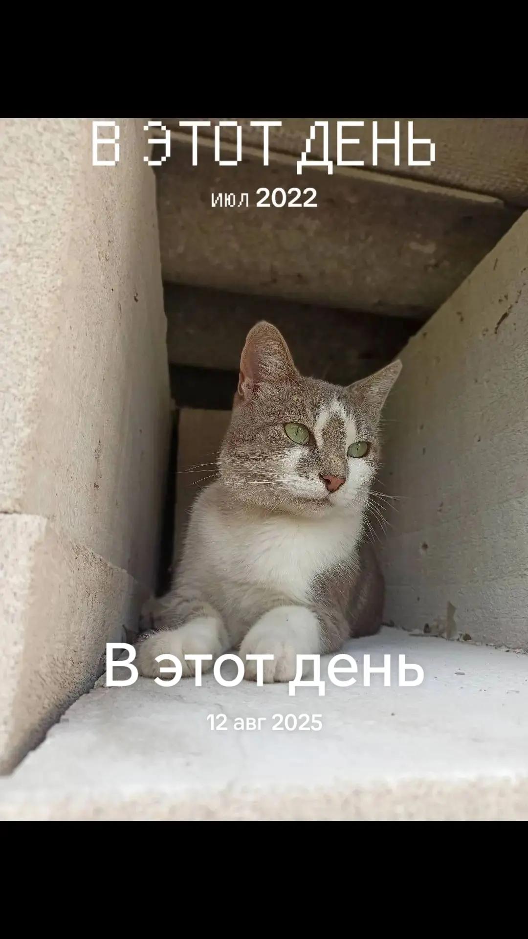 @Семён