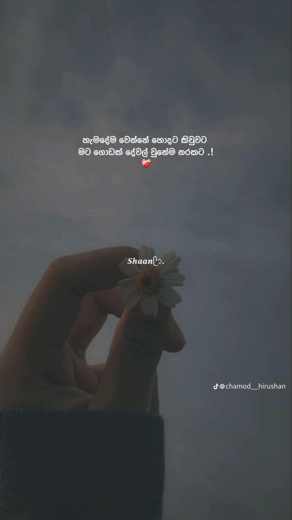 @🧚 ♡ _Dew Girl_ ♡ 🧚