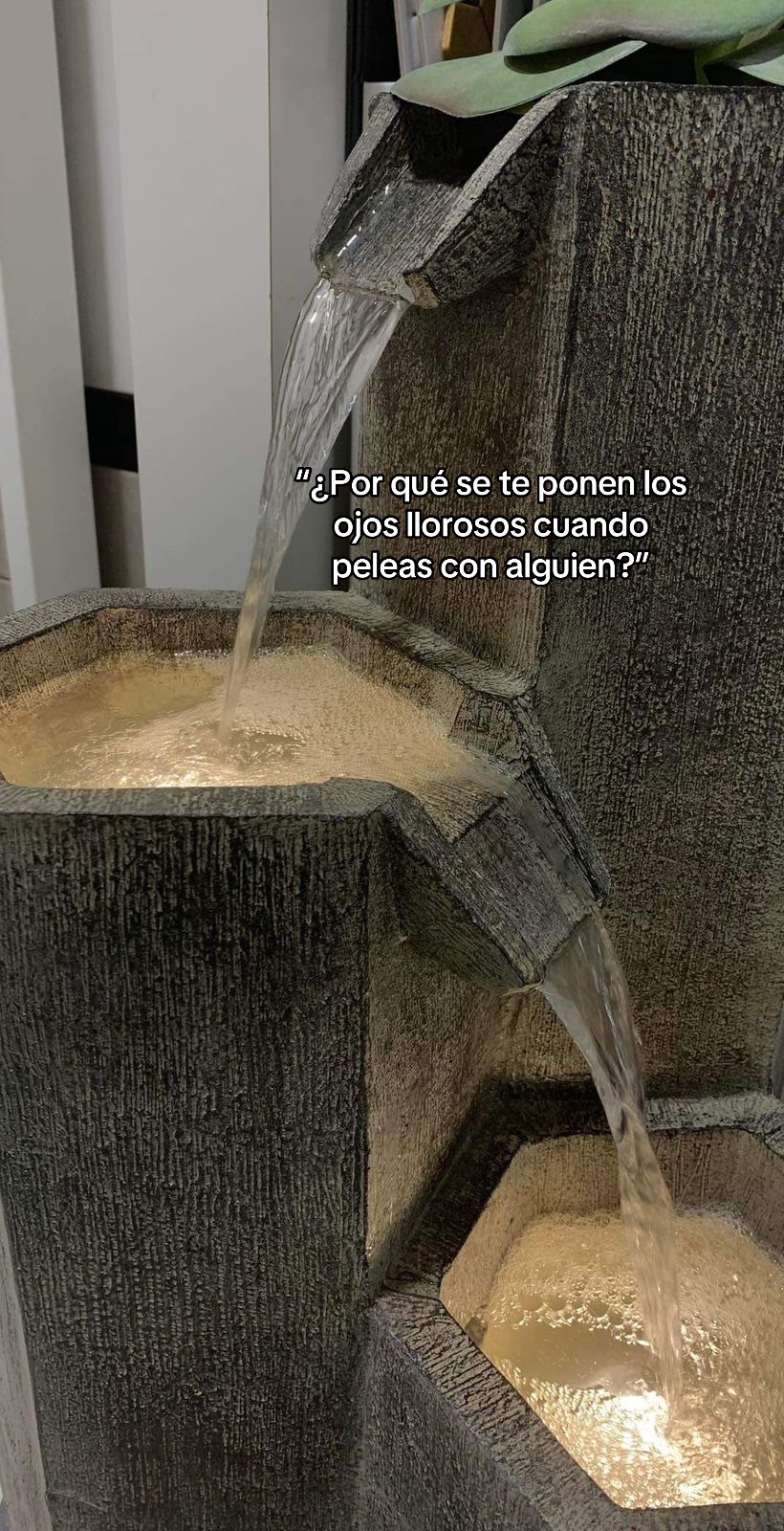 @Carolin.M