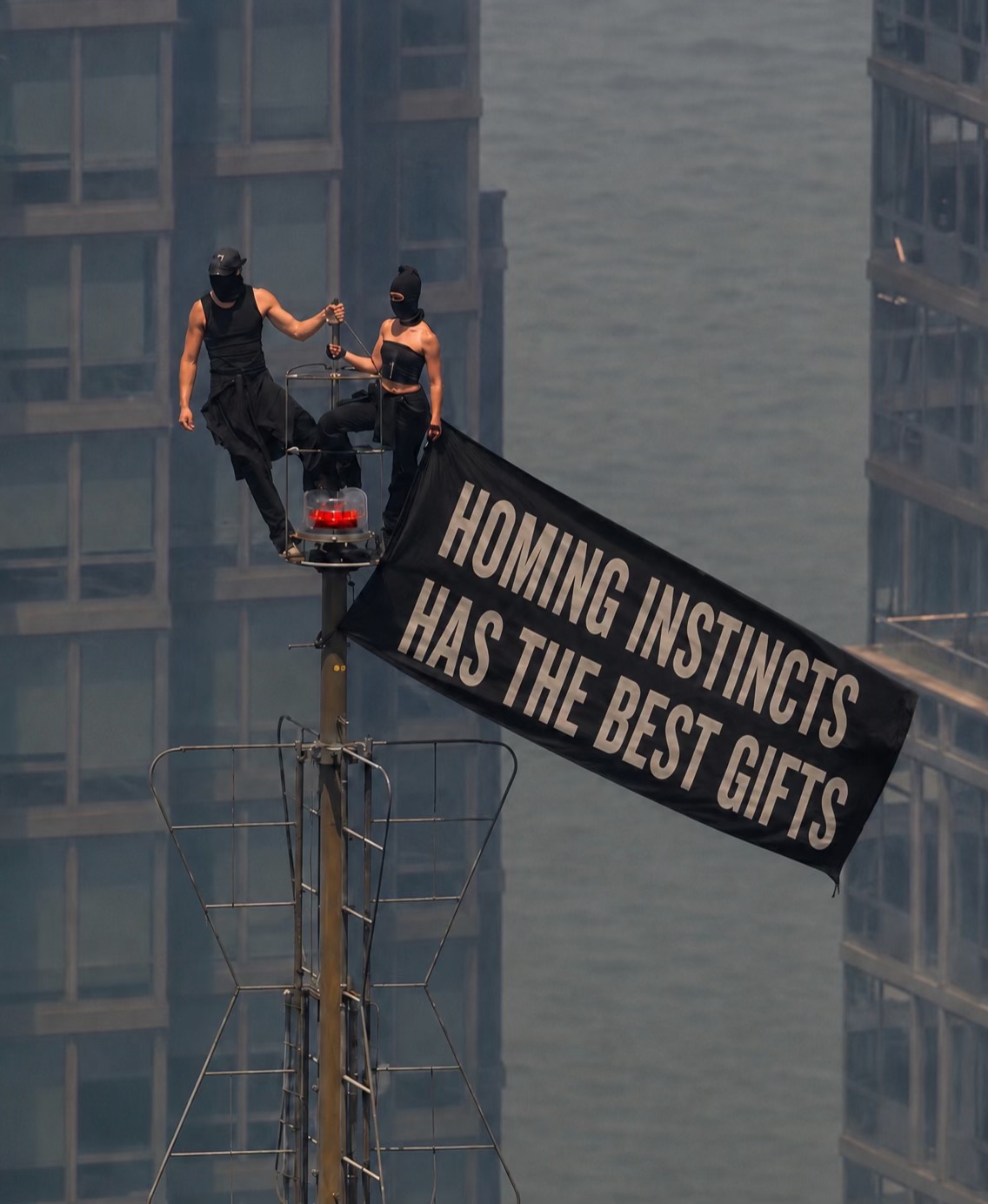@Homing Instincts