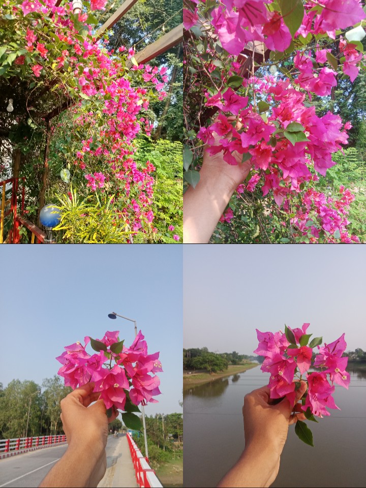 @✿℘їηкї✿🕊️