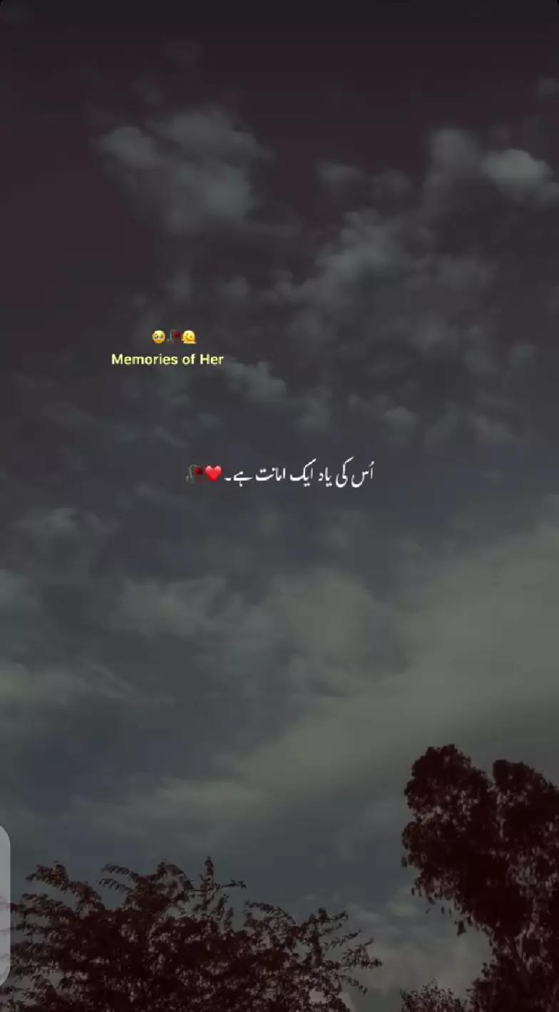 @WAHEED❤️🩹