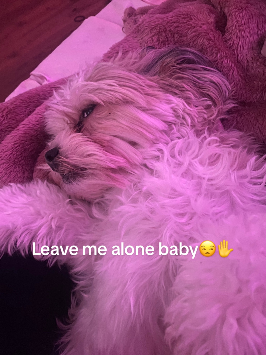 @Angel